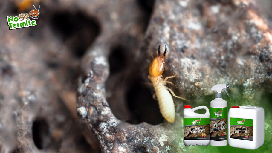 Učinkovite strategije za sprječavanje termita: osnovni savjeti za vlasnike kuća