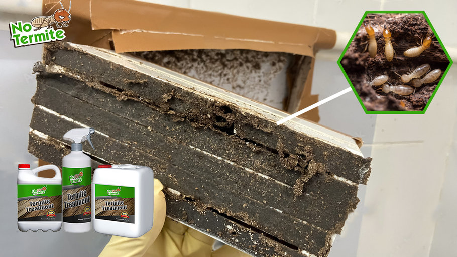 Jesu li vaša ulaganja sigurna od termita?
