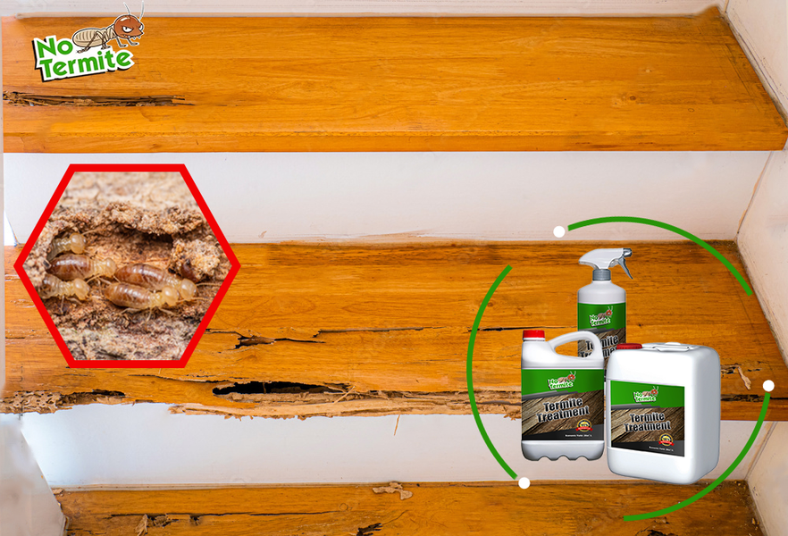 Jesu li vaši domovi otporni na termite?